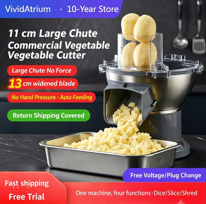 VividAtrium Fully Automatic Vegetable Cutter